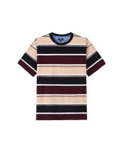 Prl Stripe Round Neck T-Shirt
